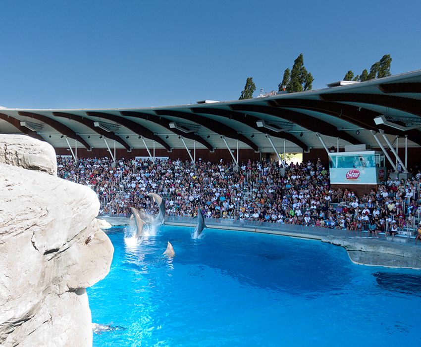 parco oltremare spettacolo delfini