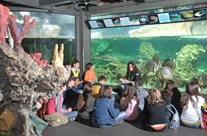 acquario didattica guida naveblu