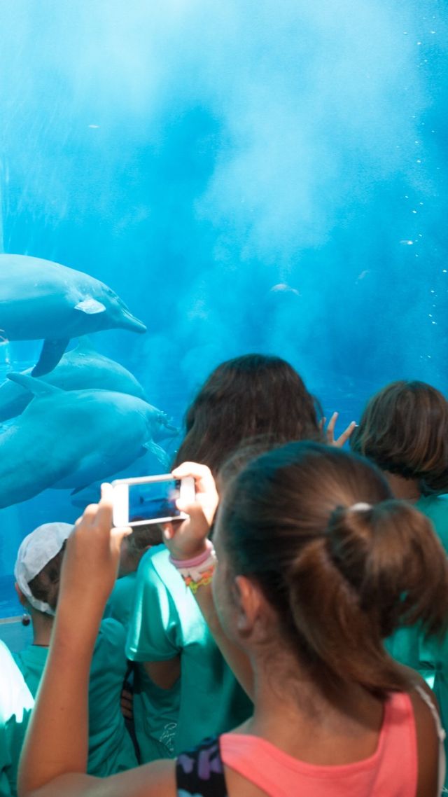 acquario didattica delfini