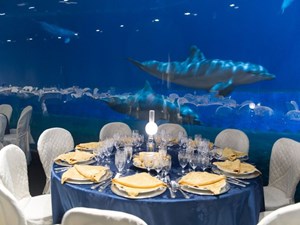 Cena all'Acquario di Genova.