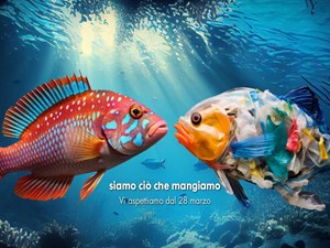 acquario di cattolica banner new