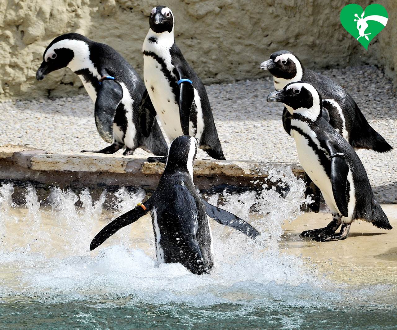 329251974 553195100176909 1078788922902766613 n