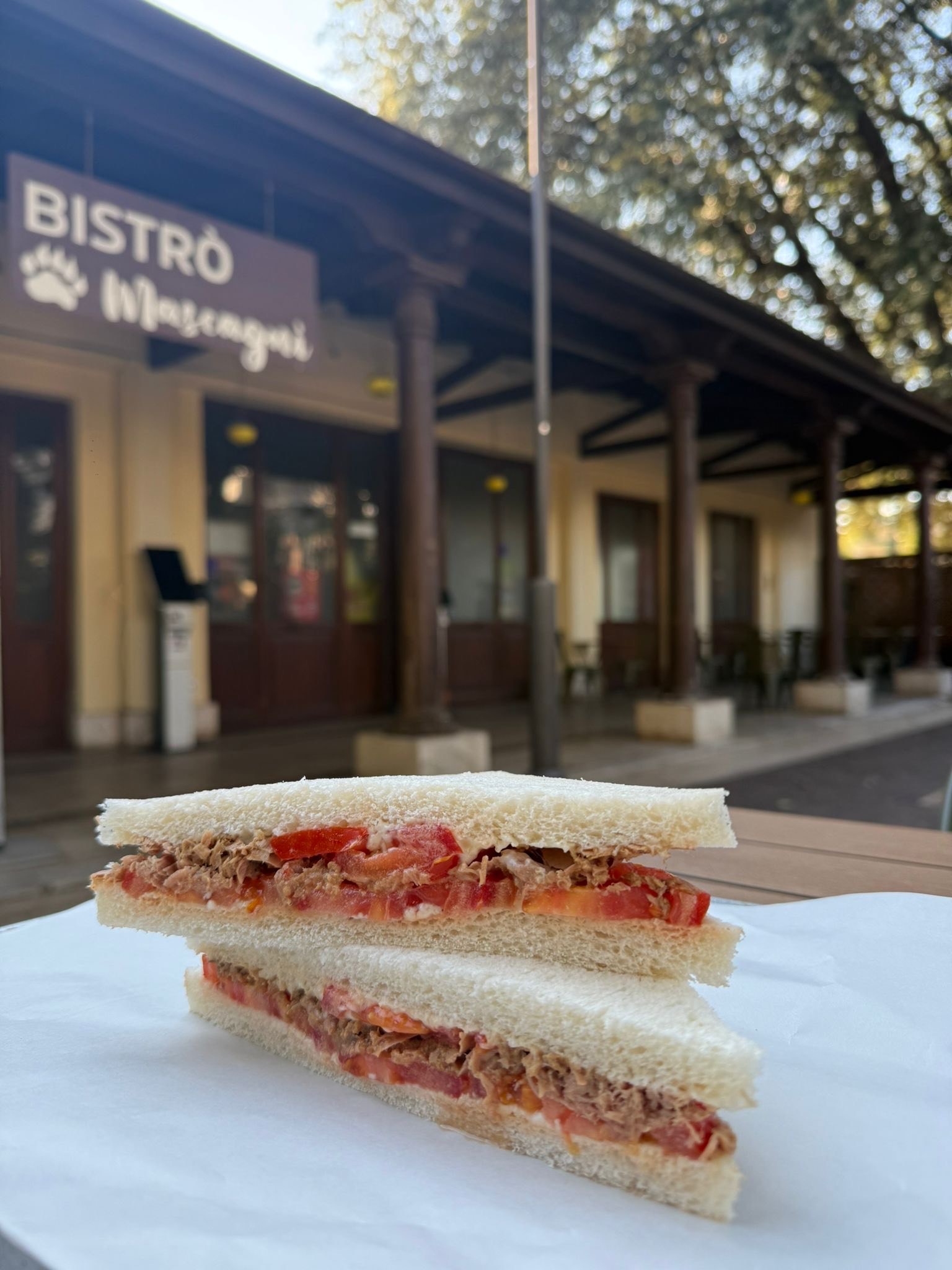 tramezzino bioparco 1