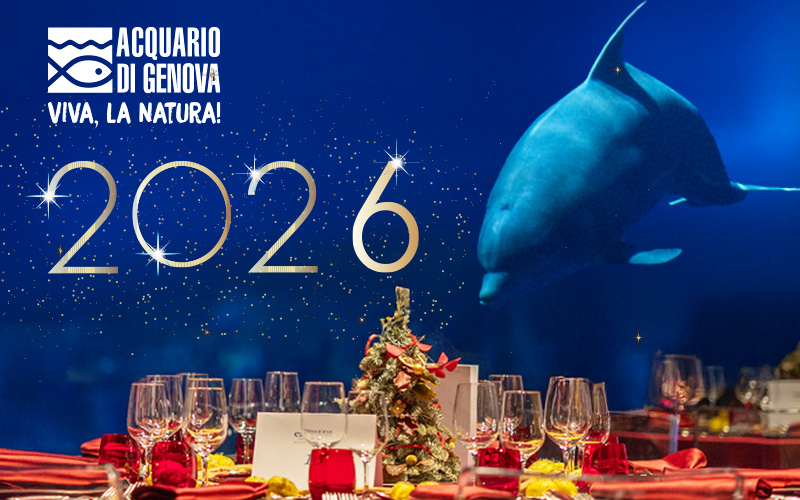 800x500 capodanno cway 2025