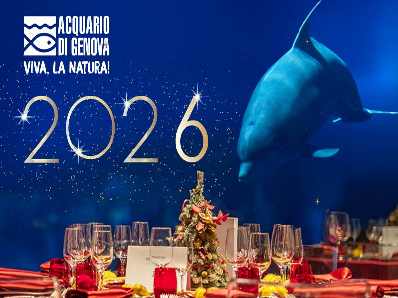 800x600 capodanno cway 2025