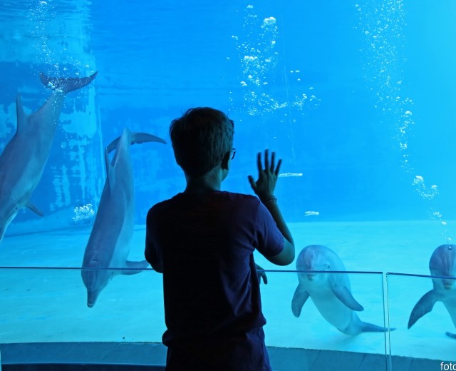 om da sito ufficiale