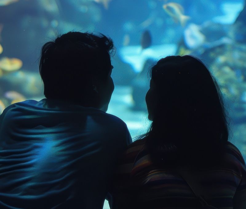 010 26 san valentino 800 679