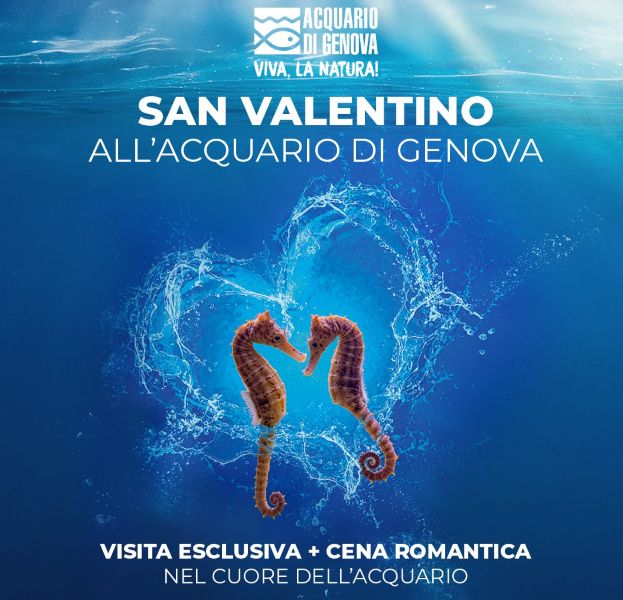 010 26 san valentino 600 623