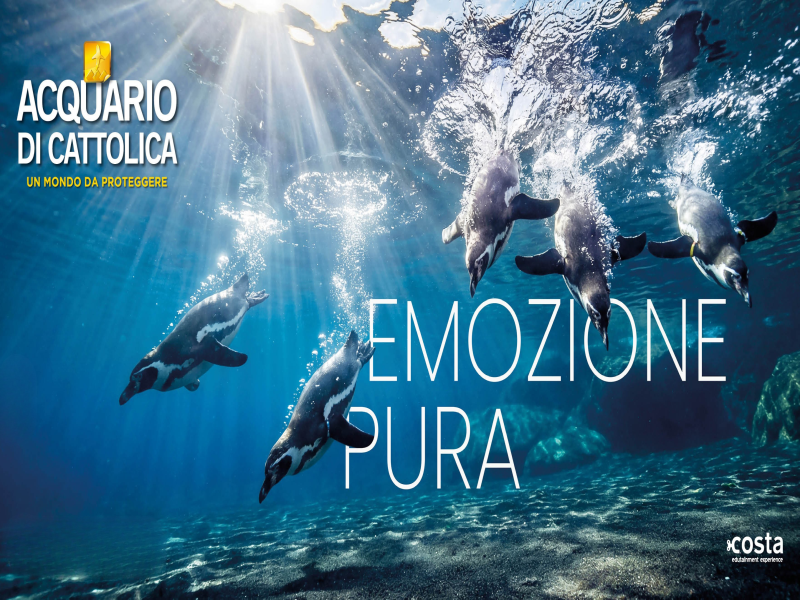 adc campagna 2026 2 rid