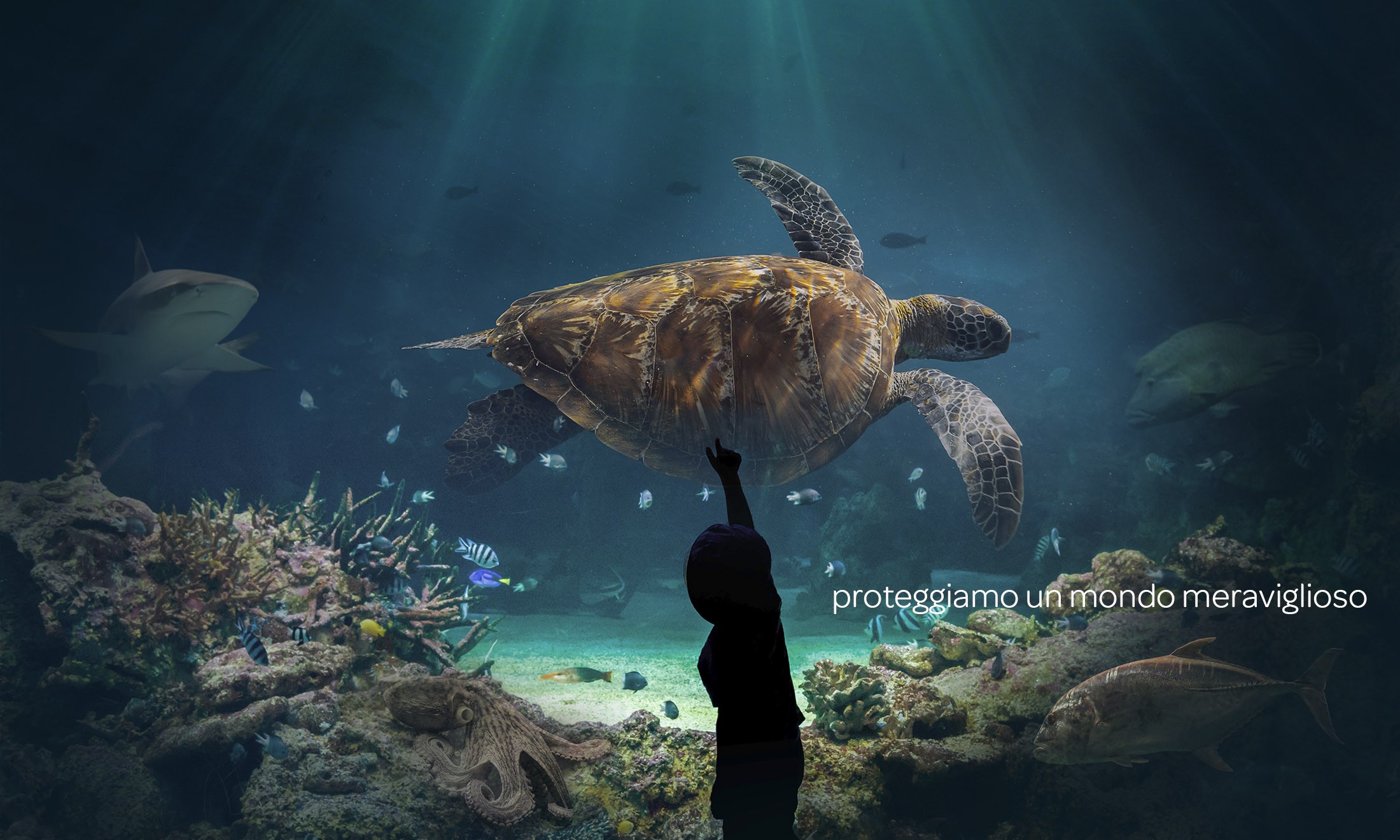  data banner img 1076 0ggadx jpg cr 2200 1320